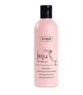Shampooing purifiant cheveux gras 300ml